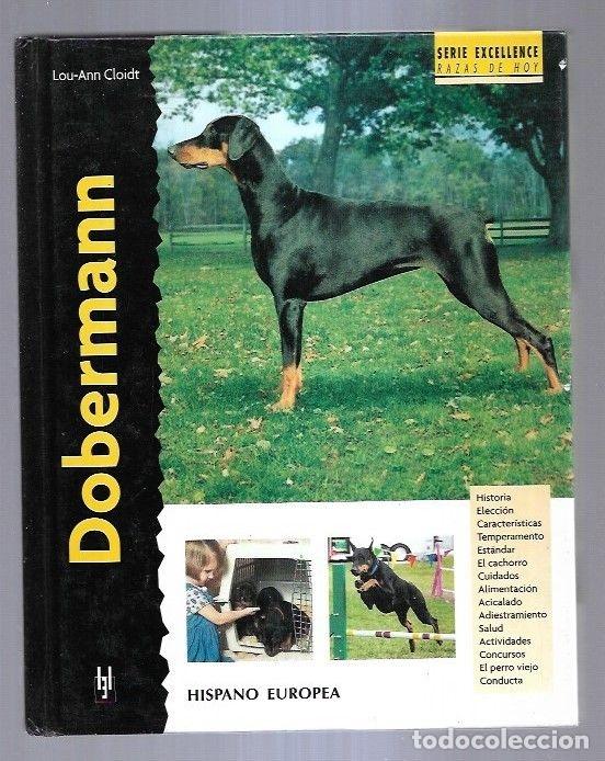 Libros: DOBERMANN - CLOIDT, LOU-ANN - Foto 1