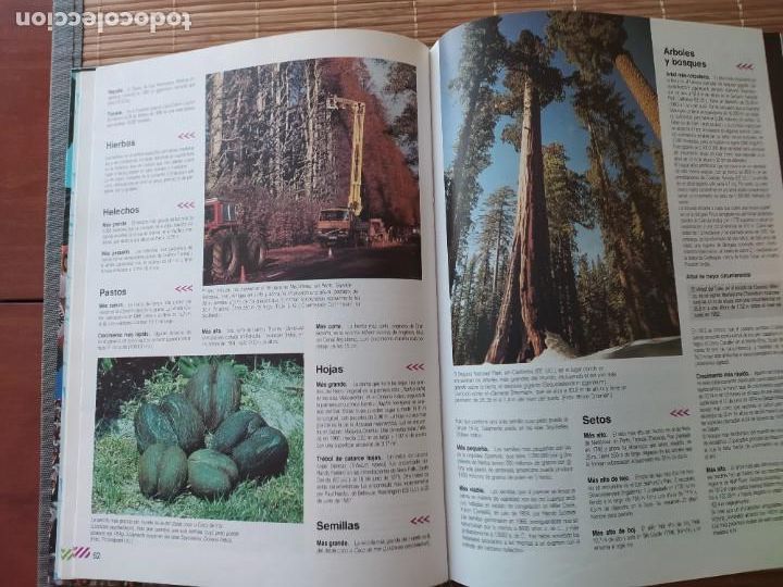 Libros: LIBRO GUINNES DE LOS R&Eacute;CORDS 1991, JORD&Aacute;N - Foto 5