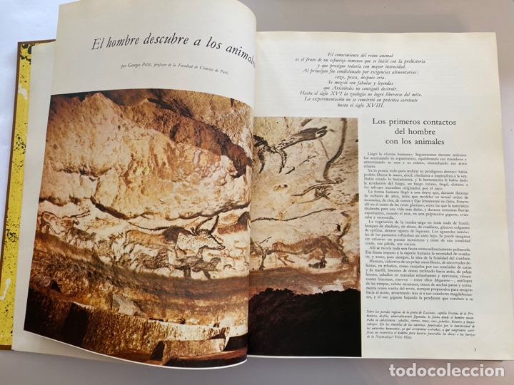 Libros: La vida de los animales - Foto 3