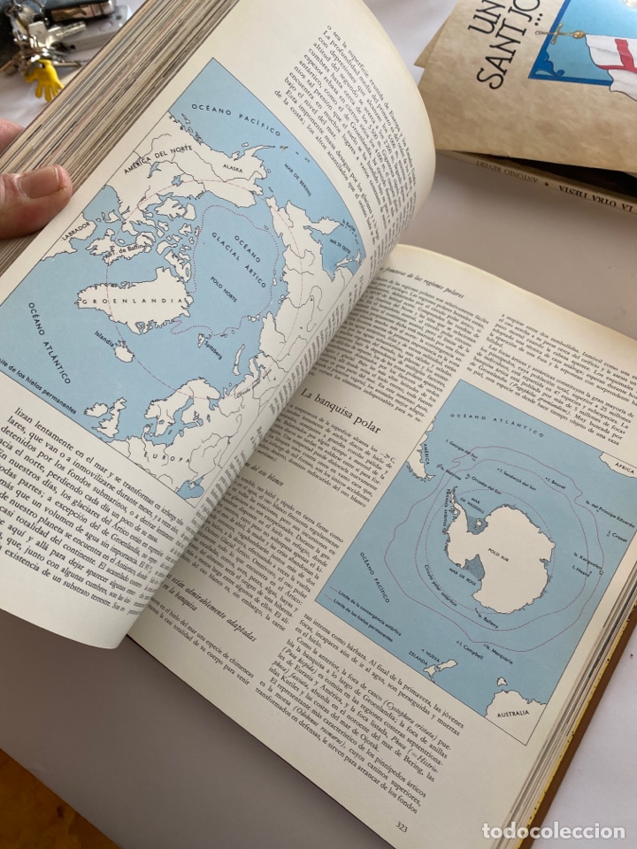 Libros: La vida de los animales - Foto 4