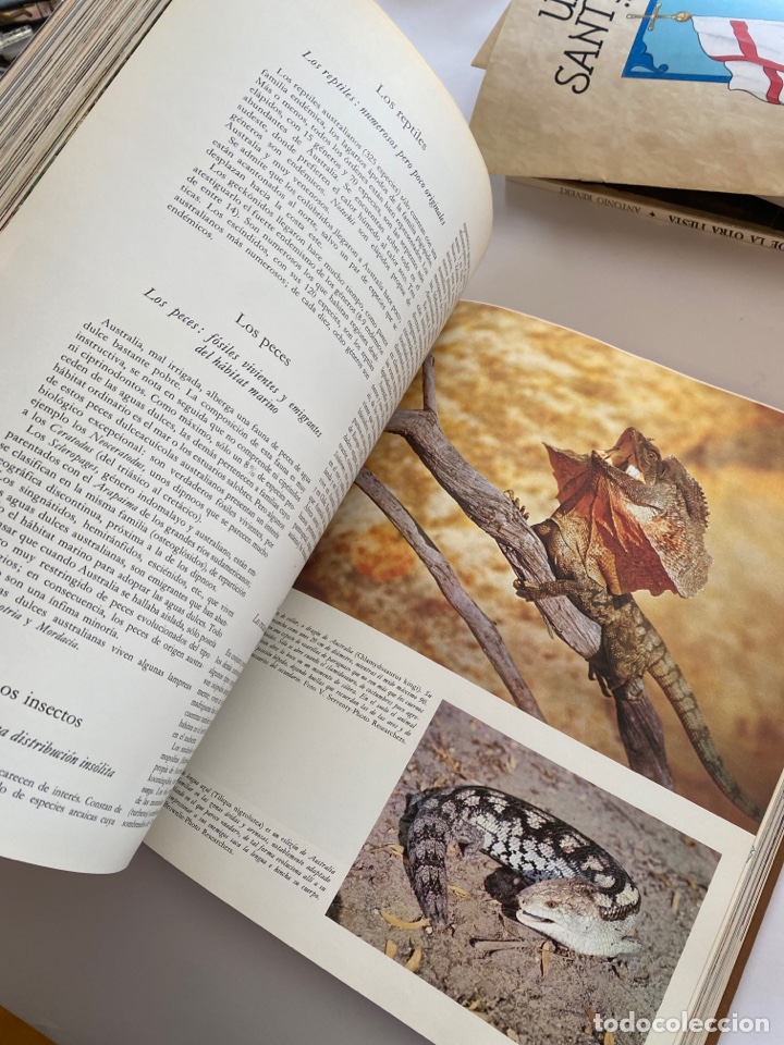 Libros: La vida de los animales - Foto 5
