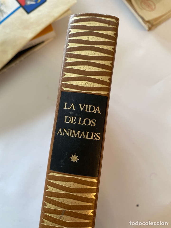 Libros: La vida de los animales - Foto 6