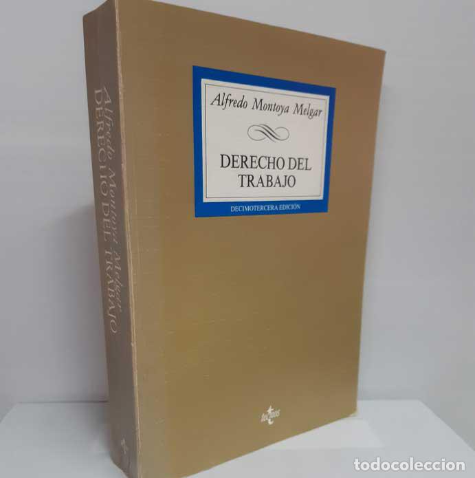 Libros: DERECHO DEL TRABAJO - MONTOYA MELGAR, ALFREDO - Foto 1