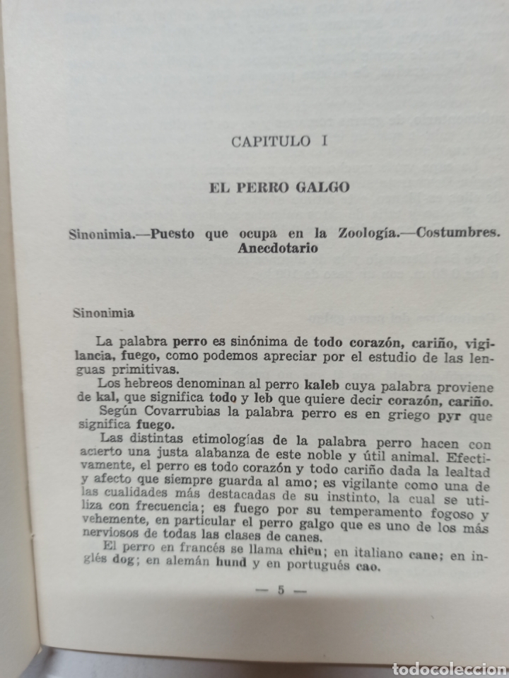 Libros: JOSE JARA Y MANUEL MINGO: EL GALGO EN EL DEPORTE. REUS 1969, DEDICATORIA DEL AUTOR. - Foto 4 - 302821193