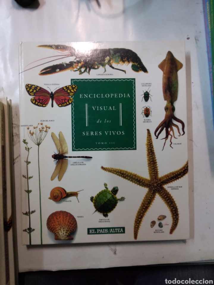 Libros: Enciclopedia Visual de los seres vivos, tomo II - Foto 1