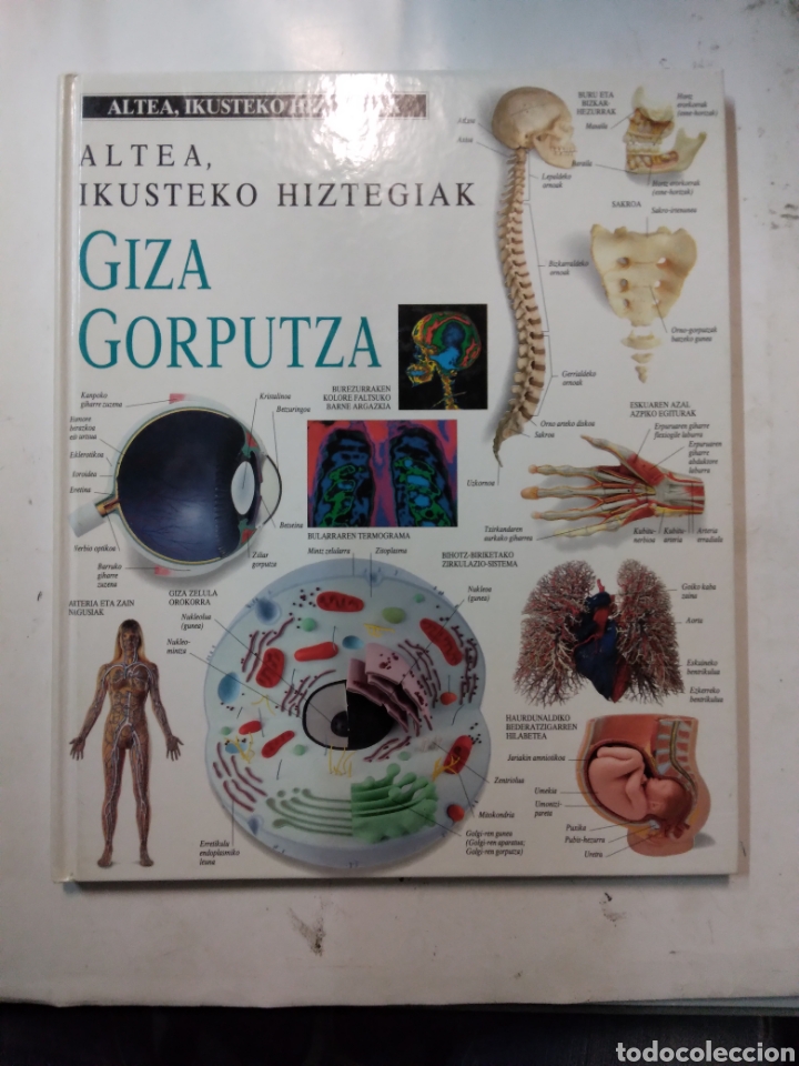 Libros: Giza gorputza, Altea ilustr&oacute; hiztegiak,Altea - Foto 1