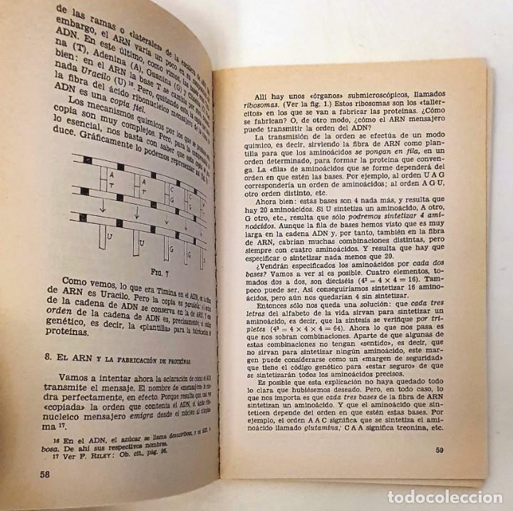 Libros: &iquest;QUE ES LA EVOLUCION? J. M. BENAVENTE. MADRID 1972. - Foto 3