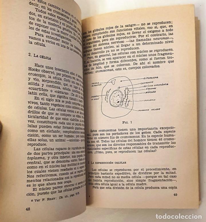 Libros: &iquest;QUE ES LA EVOLUCION? J. M. BENAVENTE. MADRID 1972. - Foto 4