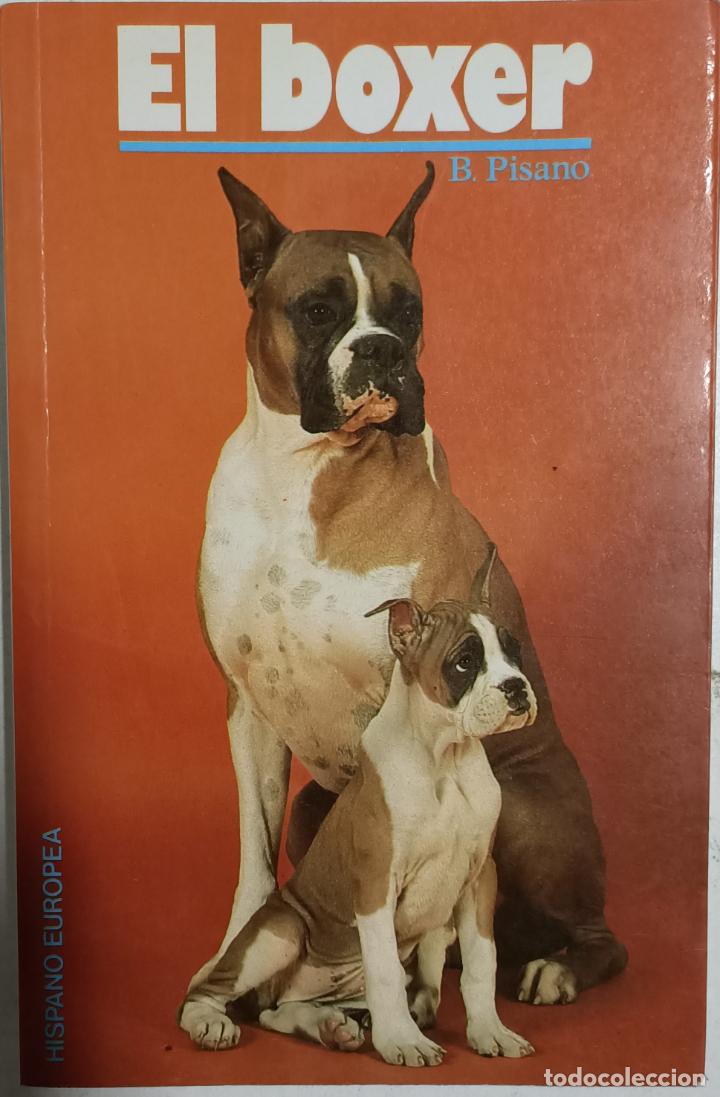 Libros: El Boxer / Beverly Pisano - Foto 1