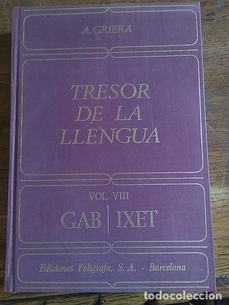 Libros: TRESOR DE LA LLENGUA. Vol. VIII GAB/IXET - A. Griera - Foto 1