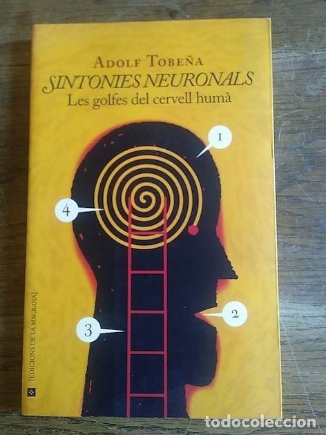 Libros: SINTONIES NEURONALS. Les golfes del cervell hum&agrave; - Adolf Tobe&ntilde;a - Foto 1
