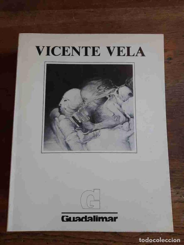 Libros: CUADERNOS GUADALIMAR 30. VICENTE VELA - - Foto 1
