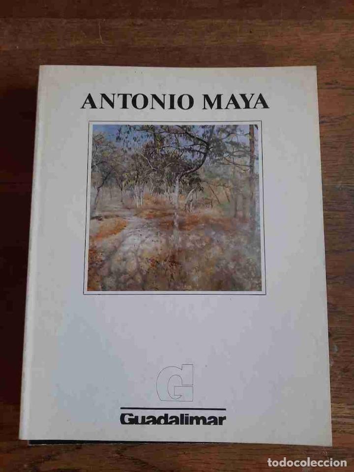 Libros: CUADERNOS GUADALIMAR 29. ANTONIO MAYA - - Foto 1