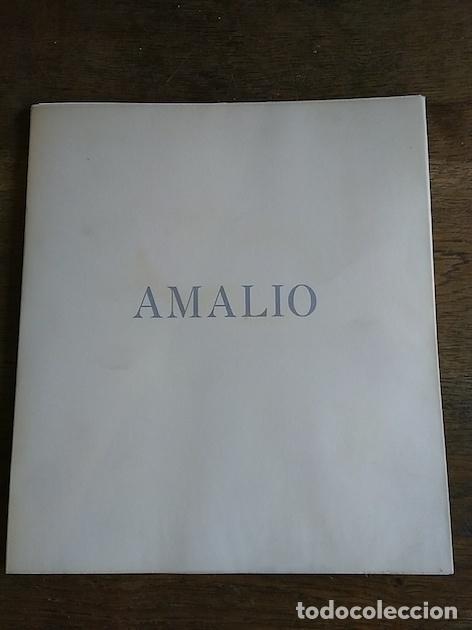 Libros: AMALIO - Jos&eacute; M. Castillo Higueras (Coord.) - Foto 1