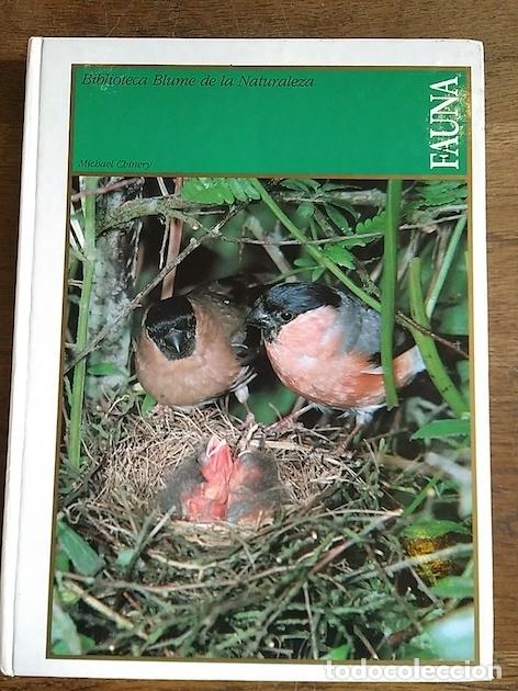 Libros: GU&Iacute;A PR&Aacute;CTICA DE LA FAUNA - Michael Chinery - Foto 1