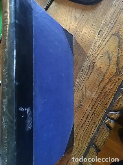 Libros: EL PONY COLORADO - JOHN STEINBECK - Foto 1