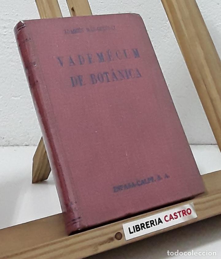 Libri di seconda mano: Vadem&eacute;cum de Bot&aacute;nica - Joaqu&iacute;n M&aacute;s-Guindal