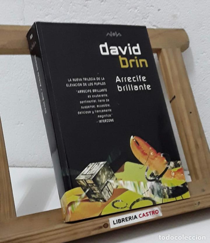 Libros: Arrecife brillante - David Brin - Foto 1