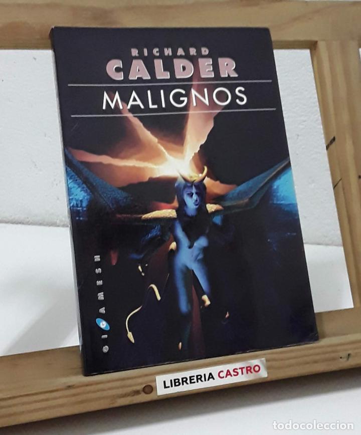 Libros: Malignos - Richard Calder - Foto 1