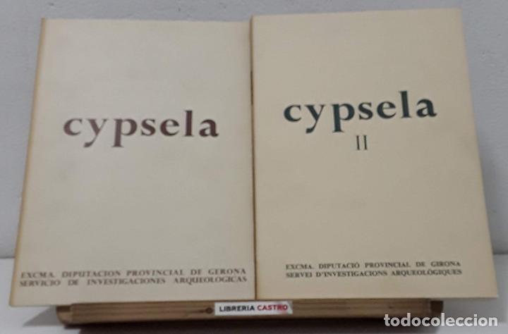 Libros: Cypsela. Cypsela II (II Tomos) - Varios - Foto 1
