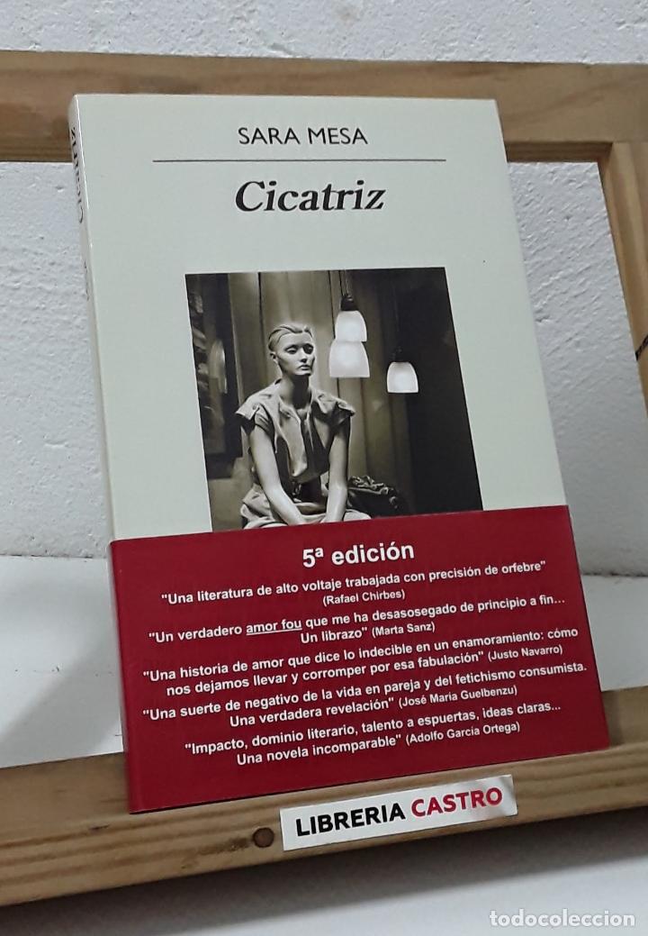 Libros: Cicatriz - Sara Mesa - Foto 1