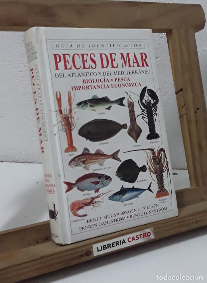 Libros: Gu&iacute;a de identificaci&oacute;n: Peces de mar. Del Atl&aacute;ntico y del Mediterr&aacute;neo - Bent J. Muus y Jorgen G. Ni