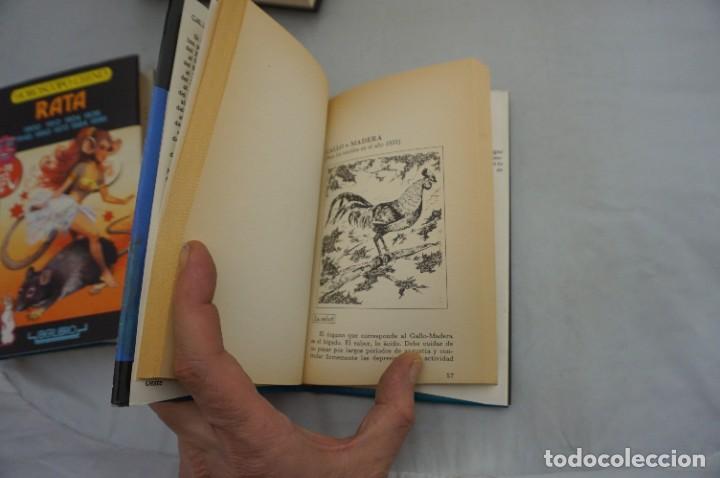 Libros: AR6C- HOROSCOPO CHINO - GALLO / IBERLIBRO - Foto 4
