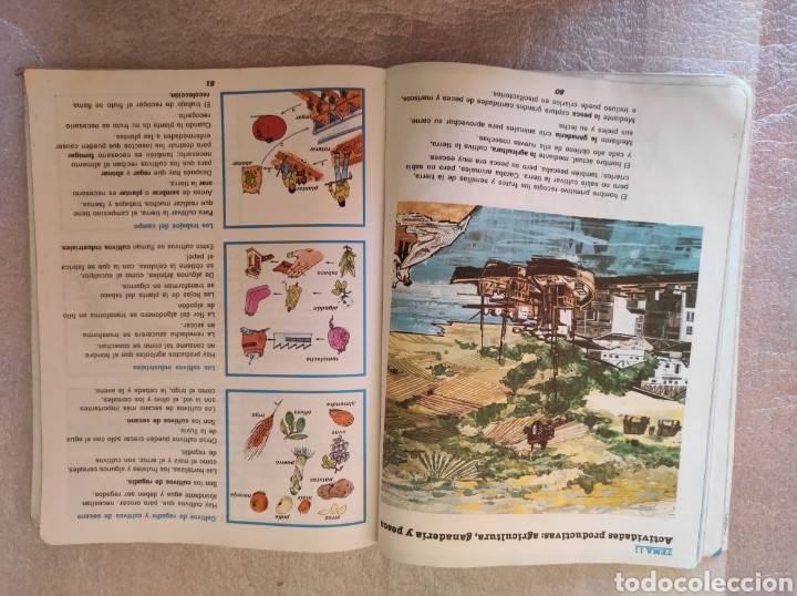 Libros: Libros de EGB santillana - Foto 3