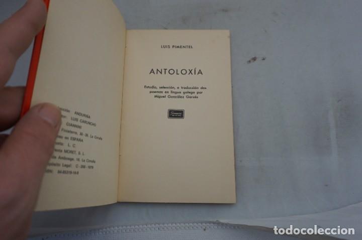 Libros: AR6D- ANTOLOXIA - LUIS PIMENTEL / GIANNINI EDICIONES - Foto 1