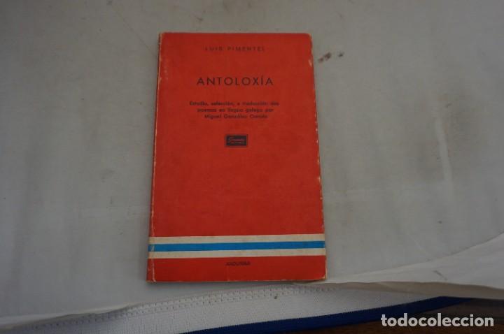Libros: AR6D- ANTOLOXIA - LUIS PIMENTEL / GIANNINI EDICIONES - Foto 3