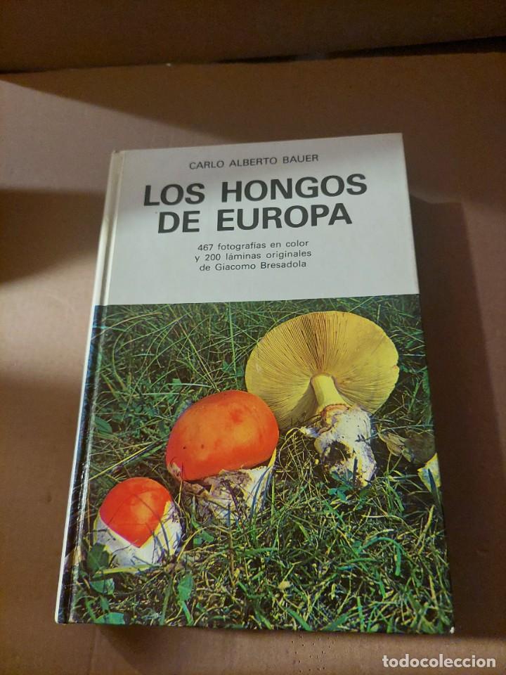Libros: Libro HONGOS DE EUROPA. Carlo Alberto Bauer - Foto 1