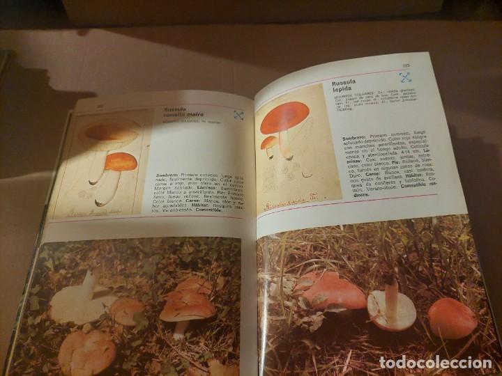 Libros: Libro HONGOS DE EUROPA. Carlo Alberto Bauer - Foto 2