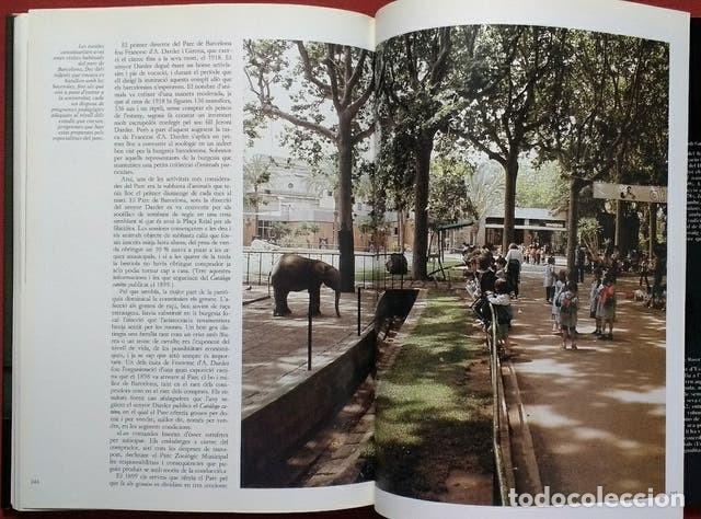 Libros: EL LLIBRE DE LES BESTIES - XAVIER FANREGAS. - Foto 4