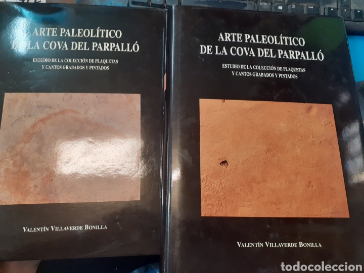 B&uuml;cher: ARTE PALEOLITICO DE LA COVA DEL PARPALLO. Estudio de la colecci&oacute;n de plaquetas y cantos grabados y p