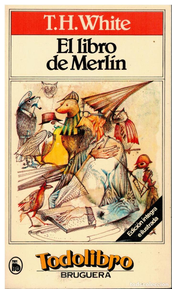Libros: EL LIBRO DE MERL&Iacute;N. Ilustrs. Ra&uacute;l Capitani. - Foto 1