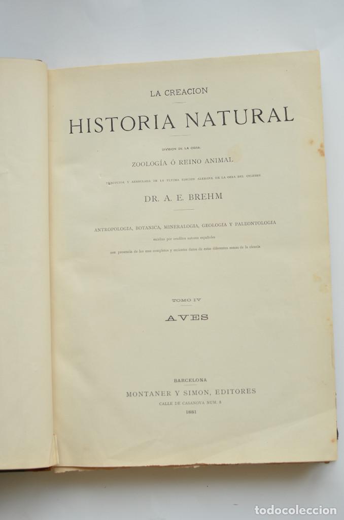 Libros: Aves - BREHEM, A. E. - Foto 2