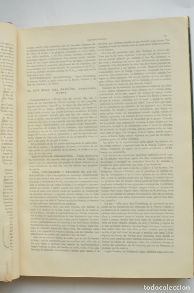 Libros: Aves - BREHEM, A. E. - Foto 4