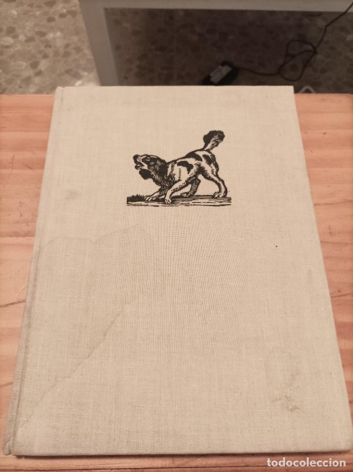 Livres: DOGS.PAUL HAMLYN.LONDON,1962,158 P&Aacute;GINAS.