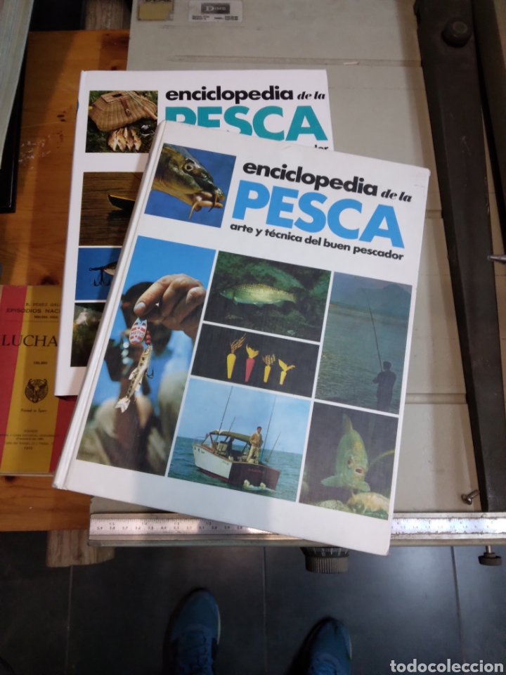 Libros: Enciclopedia de la pesca, 2 tomos, Ediciones Rueda - Foto 1