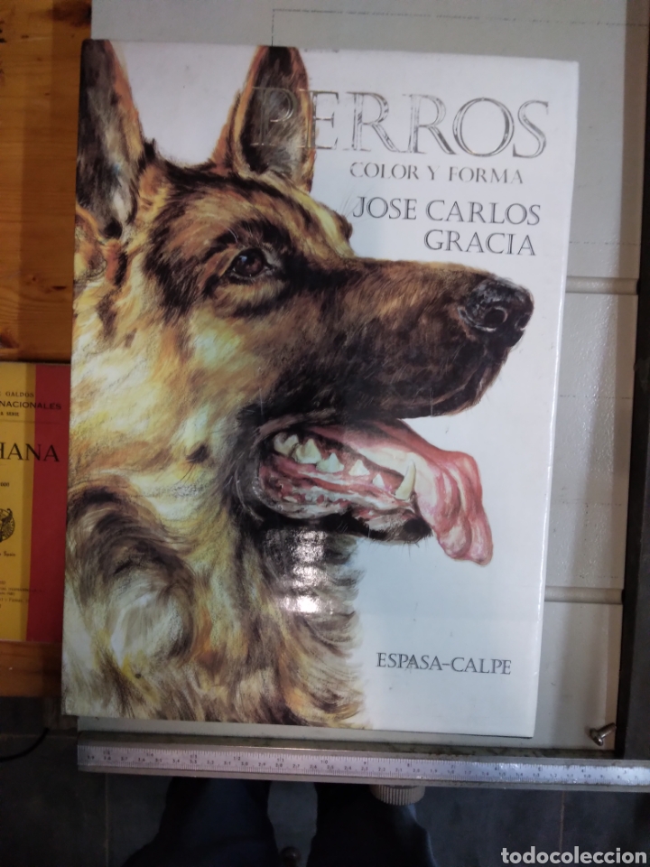 Libros: Perros,color y forma,Jos&eacute; Carlos Gracia, Espasa Calpe - Foto 1