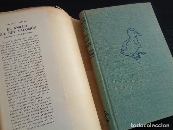 Libros: EL ANILLO DEL REY SALOM&Oacute;N, KONRAD LORENZ. 1962 - Foto 4