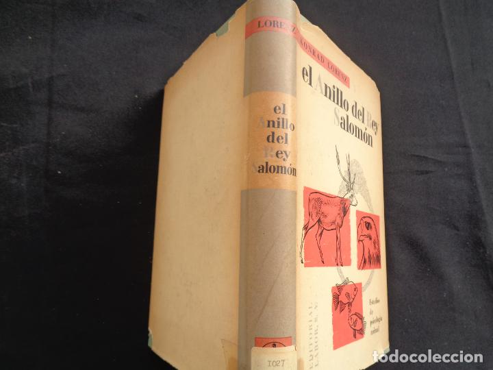 Libros: EL ANILLO DEL REY SALOM&Oacute;N, KONRAD LORENZ. 1962 - Foto 5