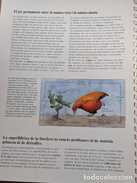Libros: AIGUA I VIDA. FREDERIC VESTER A&Ntilde;O 1992 - Foto 2