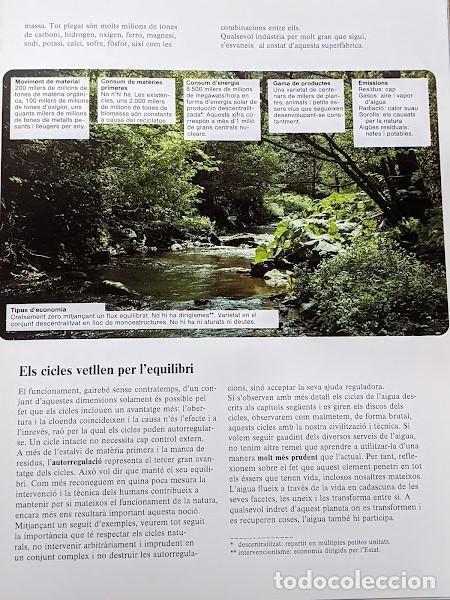 Libros: AIGUA I VIDA. FREDERIC VESTER A&Ntilde;O 1992 - Foto 3