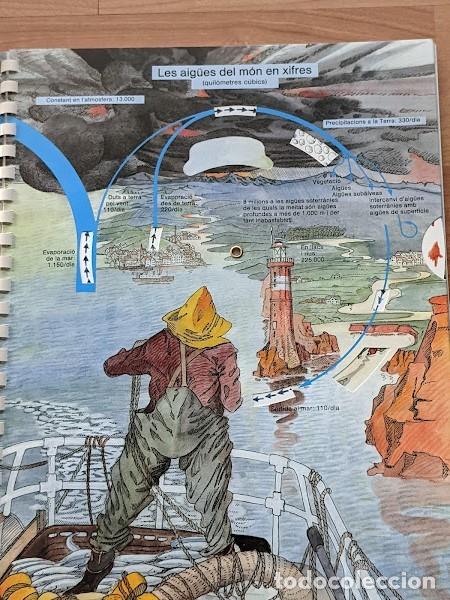 Libros: AIGUA I VIDA. FREDERIC VESTER A&Ntilde;O 1992 - Foto 4