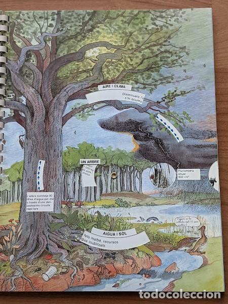 Libros: AIGUA I VIDA. FREDERIC VESTER A&Ntilde;O 1992 - Foto 5