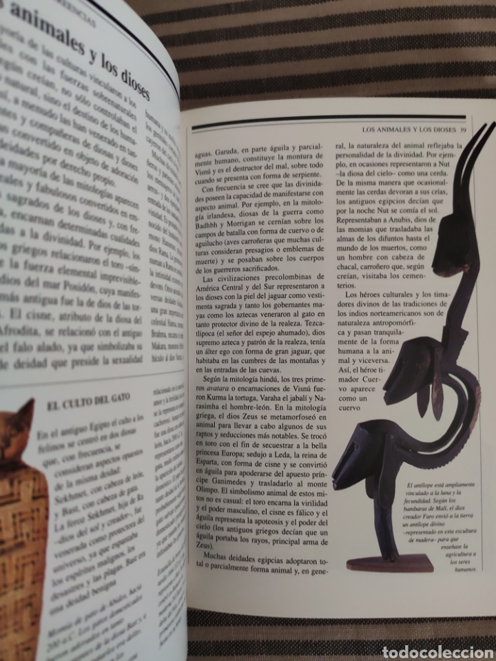 Libros: LOS ESP&Iacute;RITUS ANIMALES. NICHOLAS J. SAUNDERS. EDITORIAL DEBATE/C&Iacute;RCULO DE LECTORES. - Foto 2