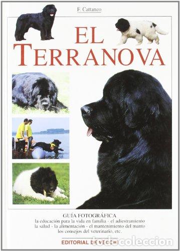 Libros: EL TERRANOVA - Cattaneo,Filippo - Foto 1