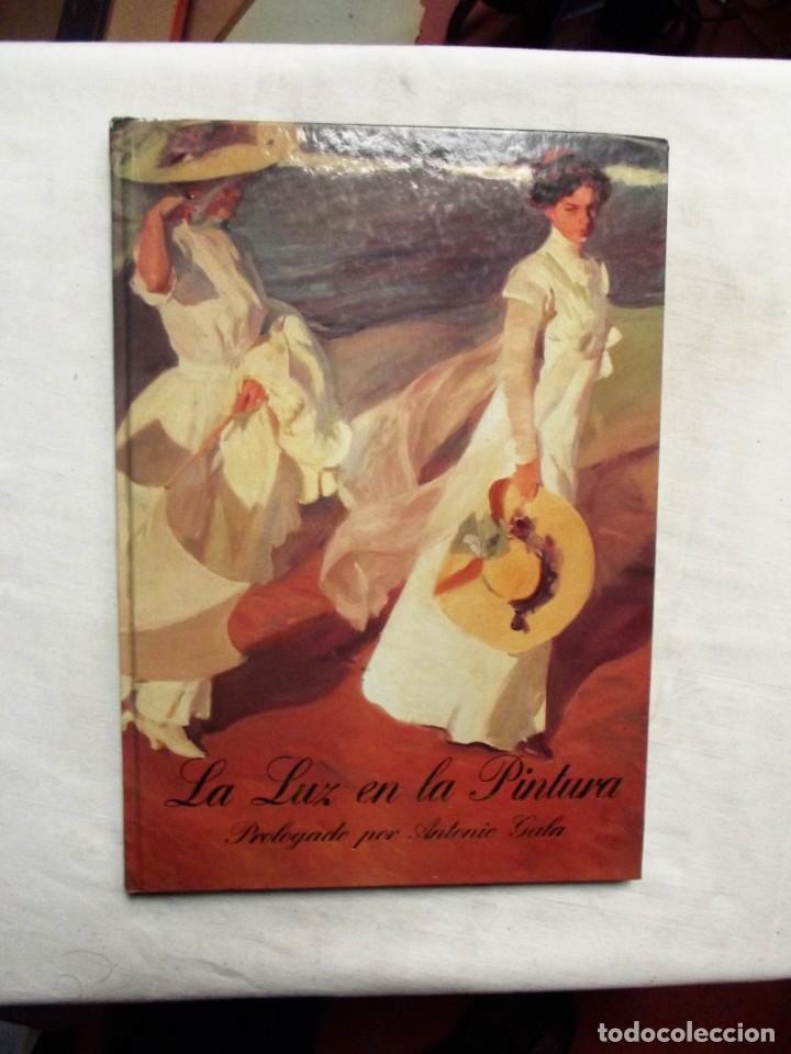Libros: LA LUZ EN LA PINTURA - Foto 1