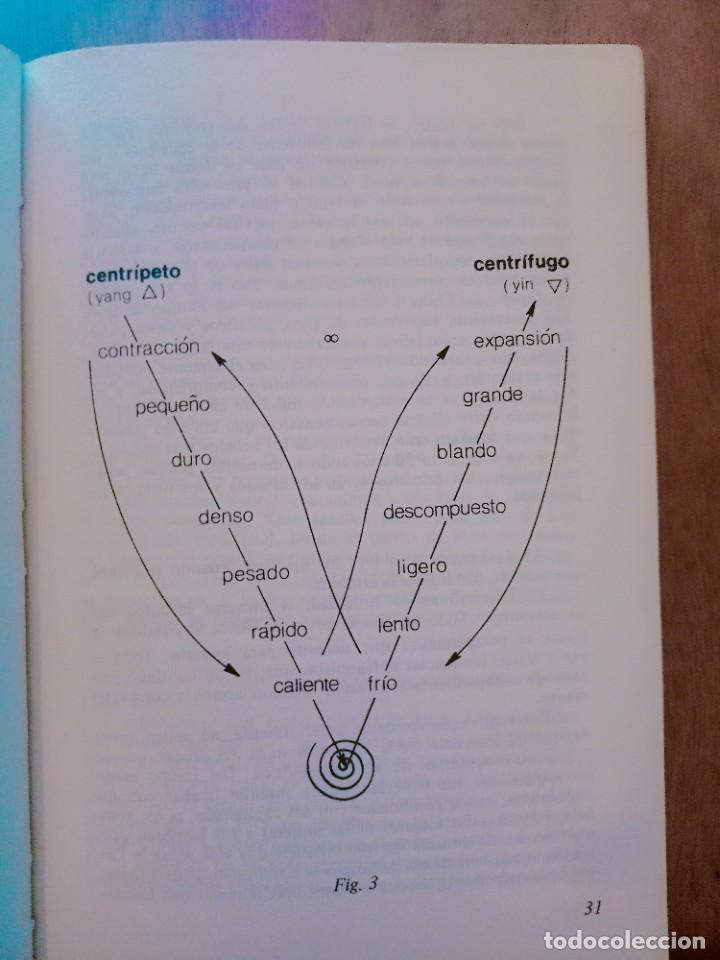 Libros: 1977 SEMINARIO DE MACROBIOTICA - MICHIO KUSHI - Foto 3
